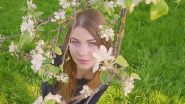 Joven mujer feliz caminando en un huerto de manzanas en las flores de primavera blanco. Retrato de una hermosa chica — Vídeo de stock