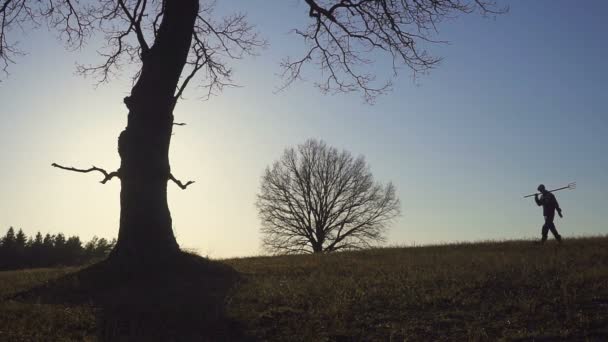 Ein Bauer geht mit einer Schaufel auf das Feld. Sie tragen Geräte, um einen Baum zu pflanzen. am Sonnenuntergang. Seitenansicht — Stockvideo