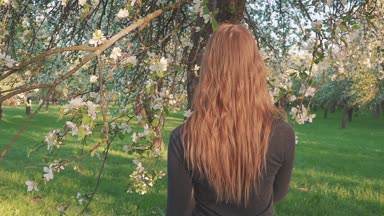 bahar çiçekleri beyaz bir elma bahçesi içinde yürüyen genç kadın. Akşam meyve bahçesinde bir güzel kız portresi. çekim geri
