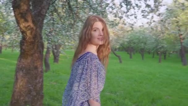 Tempting young woman walking in an apple orchard in the spring flowers white. Portrait of a beautiful girl in the evening fruit garden. — Stock Video