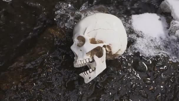 Människans kranium på river. begreppet brutala mordet — Stockvideo