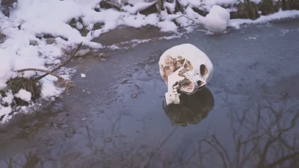 Menschlicher Schädel am Fluss. Konzept des brutalen Mordes — Stockvideo