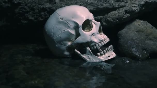 人类头骨在河上。残忍谋杀的概念 — 图库视频影像