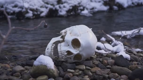 人类头骨在河上。残忍谋杀的概念 — 图库视频影像