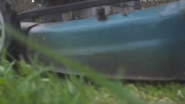 Çim biçme makinesi arka bahçesinde yeşil çim kesme. Bahçe arka plan. — Stok video