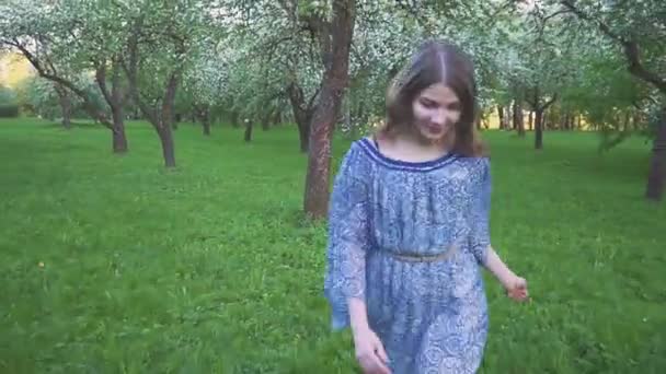 Genç kadın bir elma bahçesi bahar çiçekleri beyaz içinde çalışır. Akşam meyve bahçesinde bir güzel kız portresi. — Stok video