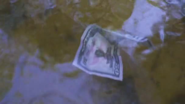 Білль доларів пливе вздовж річки. Концепція на тему несподіваного багатства — стокове відео