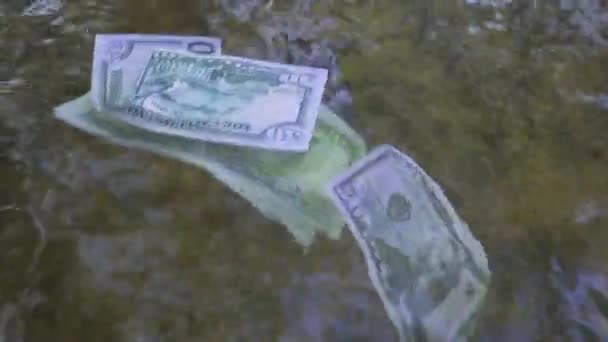 Un billete de dólar flota a lo largo del río. Concepto sobre el tema de la riqueza inesperada — Vídeo de stock