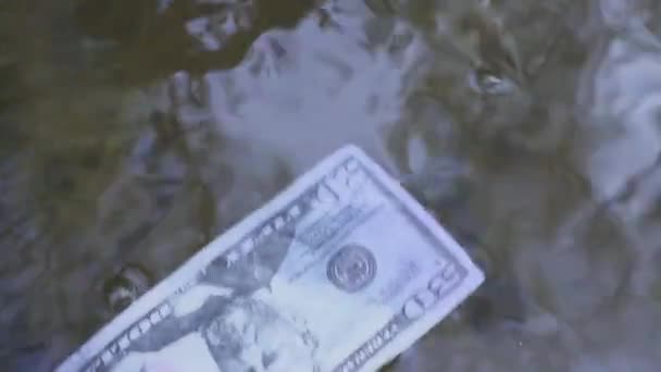 A dollar bill floats along the river. Concept on the theme of unexpected wealth — Stock Video