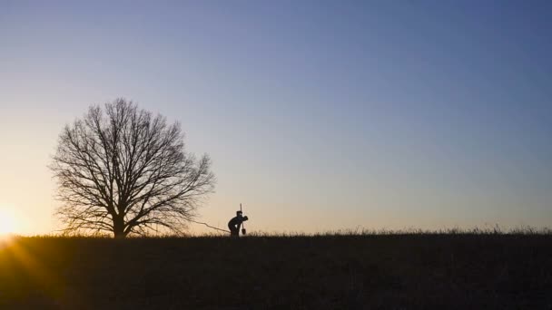 Человек сажает дерево в поле. Солнечный восход, закат. Силуэт. Весна или лето — стоковое видео