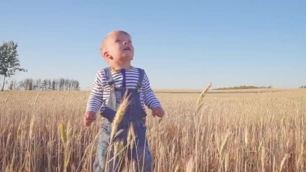 Ragazzo felice che corre sul campo con segale matura alla giornata di sole al rallentatore. concetto . — Video Stock