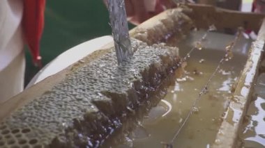 Bıçak bir parça bal peteği kesti. otantik arıcı videosu