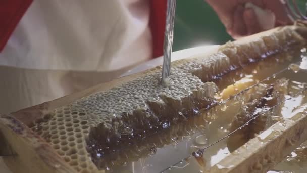 Нож отрезал кусочек соты. подлинное видео пчеловода — стоковое видео