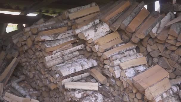 Stacked firewood heap in barn. Copped firewood logs. — Stock Video