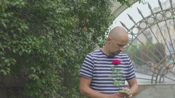 Sad young man with a rose waiting for a late woman — Stock Video