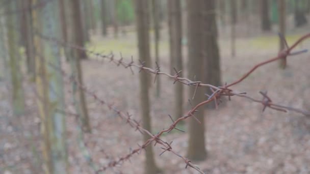 Een mensenhand raakt een prikkeldraad hek aan. COVID-19 zelfisolatieconcept. coronavirus — Stockvideo