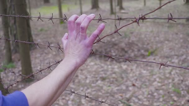 Een mensenhand raakt een prikkeldraad hek aan. COVID-19 zelfisolatieconcept. coronavirus — Stockvideo