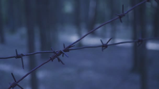 Barbwire fence close up single wire blur foliage concept de pandémie et de coronavirus — Video