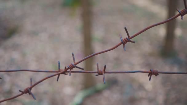Barbwire fence close up single wire blur foliage concept de pandémie et de coronavirus — Video