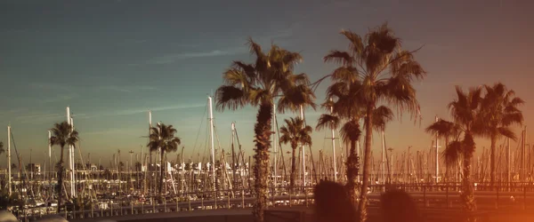 Vista di più yacht e palme, Barcellona — Foto Stock