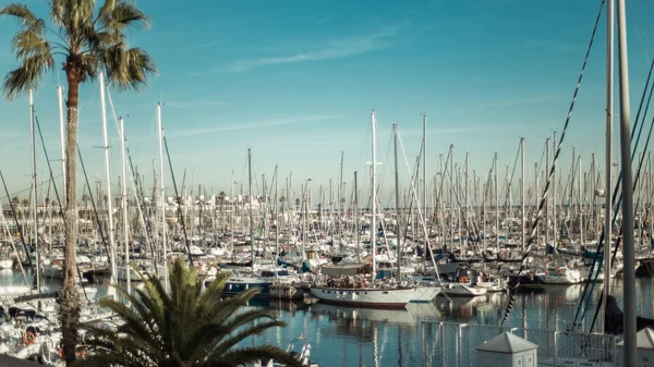 View of multiple yachts and palms, Barcelona — Stock Photo, Image