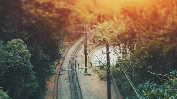 Pravda-nakloněná rovina shift fotografování železnice v džungli — Stock fotografie