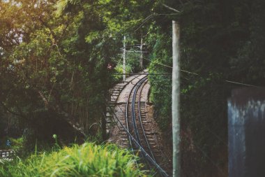 Demiryolu orman Rio de Janeiro görünümünü