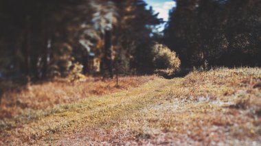 Çayır yol görünümünü tilt-shift