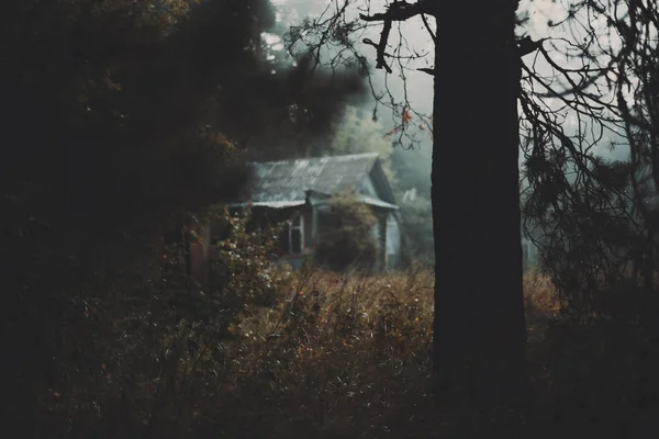 Mañana de niebla oscura temprana con árbol y casa de pueblo —  Fotos de Stock
