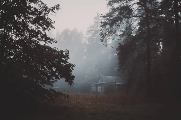 Туманное утро в деревне в лесу — стоковое фото