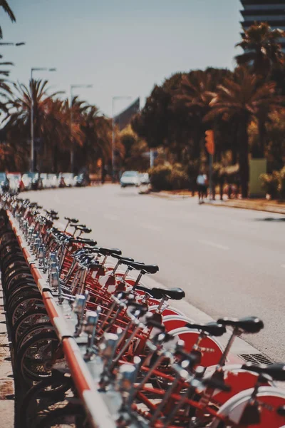 Rij van rode geparkeerde openbare fietsen — Stockfoto