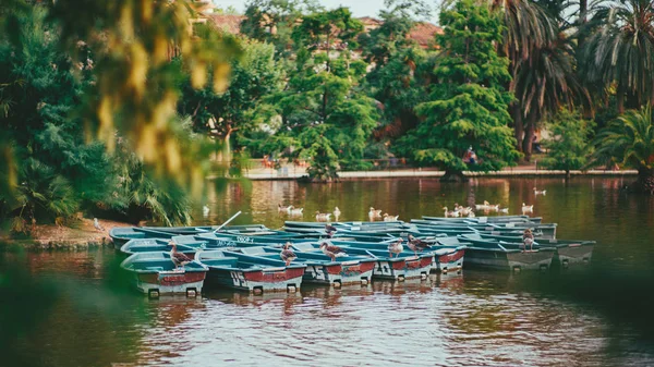 Parque com lago e barcos vazios com patos sobre eles — Fotografia de Stock