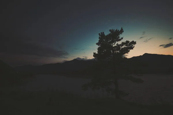 山の設定でツリーの広角撮影 — ストック写真