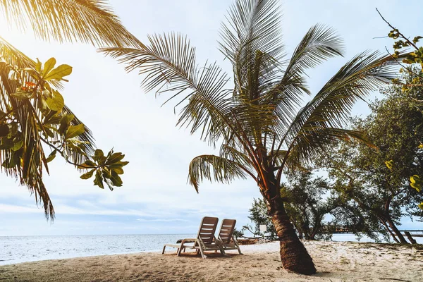 查看的两把椅子和棕榈海滩附近 — 图库照片