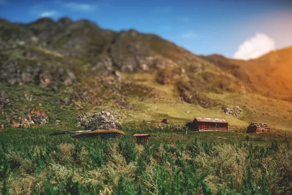 Blick auf Altay-Berge, Hütten, einheimische Gräser — Stockfoto