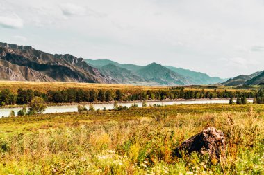 Altay Dağları ve Katun Nehri