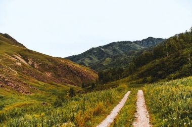 Toprak yol arasında 