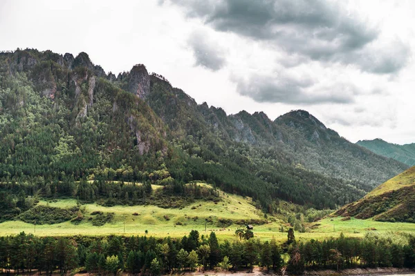 Landschaft des Altai-Gebirges mit Wiesen — Stockfoto