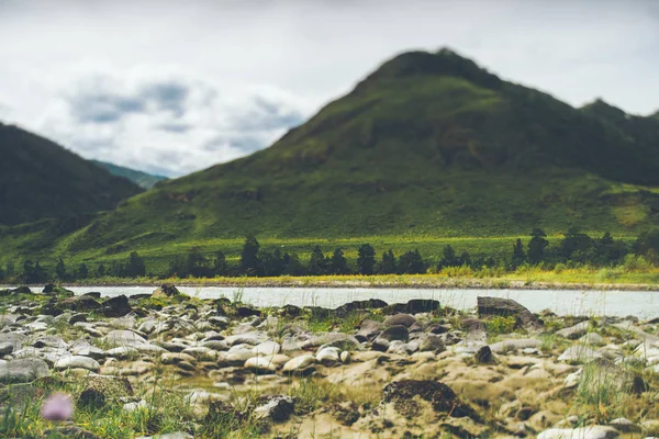 Tilt-shift вид на Katun річку і гори Алтай — стокове фото