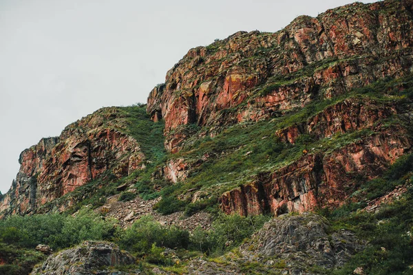Altay Dağları'nda Tepesi'nin kanat