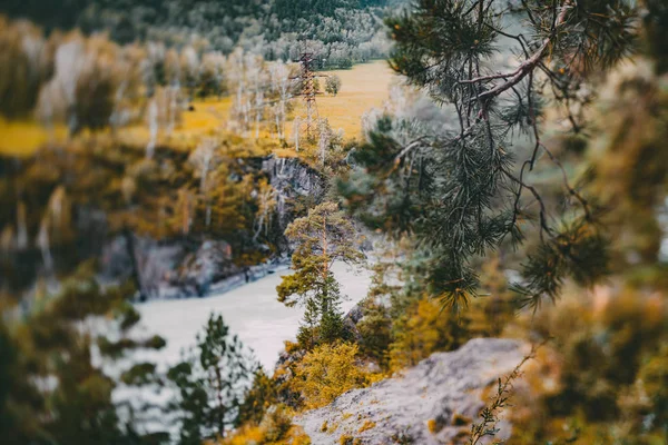 Herbstlandschaft im Altay-Gebirge in der Nähe des Flusses Katun — Stockfoto