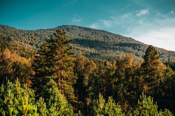 Podzimní krajina v Altaji — Stock fotografie