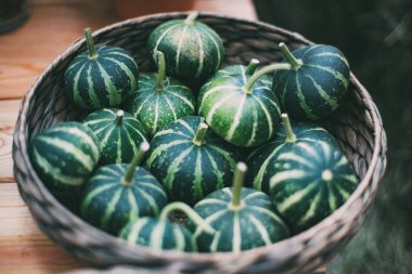 Yeşil çizgili kabak sepeti