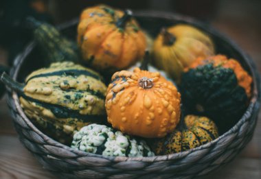 Dekoratif kabak sepeti