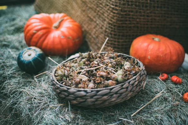 Still-life of fresh harvest — Stock Photo, Image