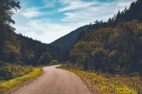 Güz Altay Dağları bükme yol