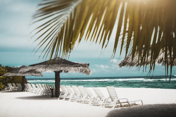 Tiltshift view of sea beach with daybeds, sunshades and palms — Stock Photo, Image