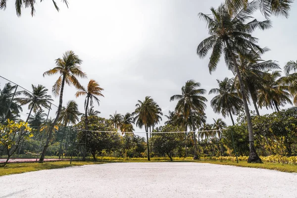 Quadra de vôlei em resort tropical de luxo cercado por palmeiras — Fotografia de Stock