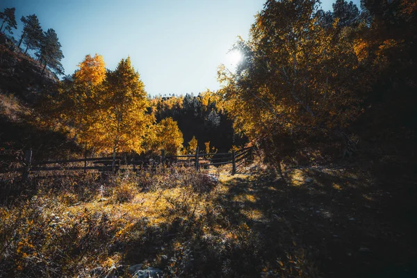 Širokoúhlá podzimní scéna s plotem — Stock fotografie