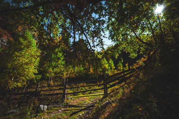 Esgrima de madeira em montanhas de outono — Fotografia de Stock